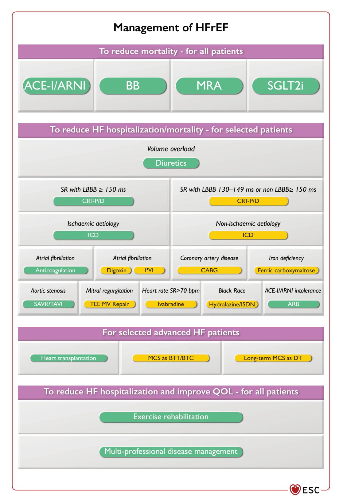 【ESC Guidelines】HFrEF Clinical Management Algorithm