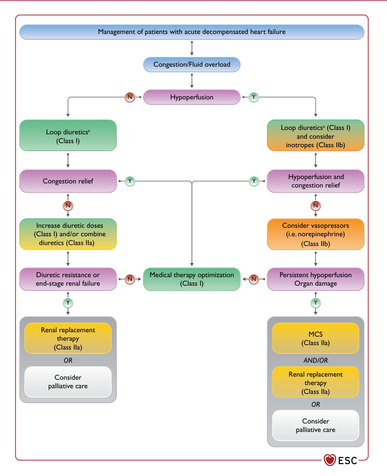 【ESC Guidelines】Acute Decompensated Heart Failure Management Algorithm
