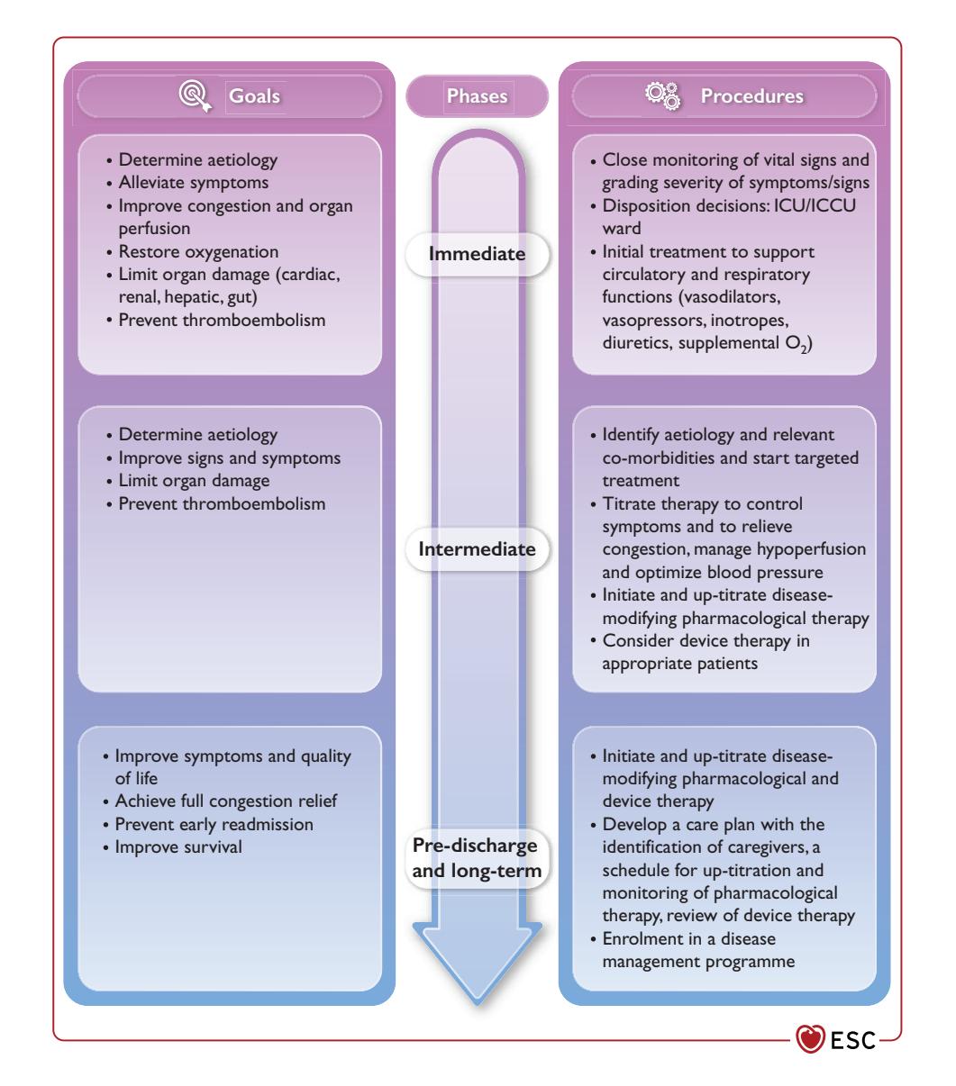 【ESC Guidelines】Heart Failure Management Phases