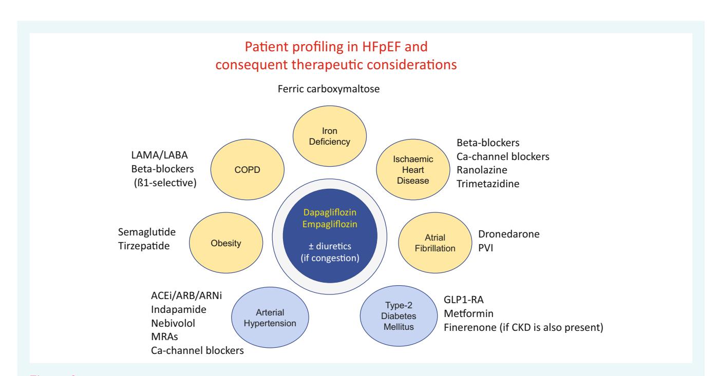 【Patient phenotype profiling in heart failure with preserved ejection fraction】HFpEF Therapeutic Algorithm