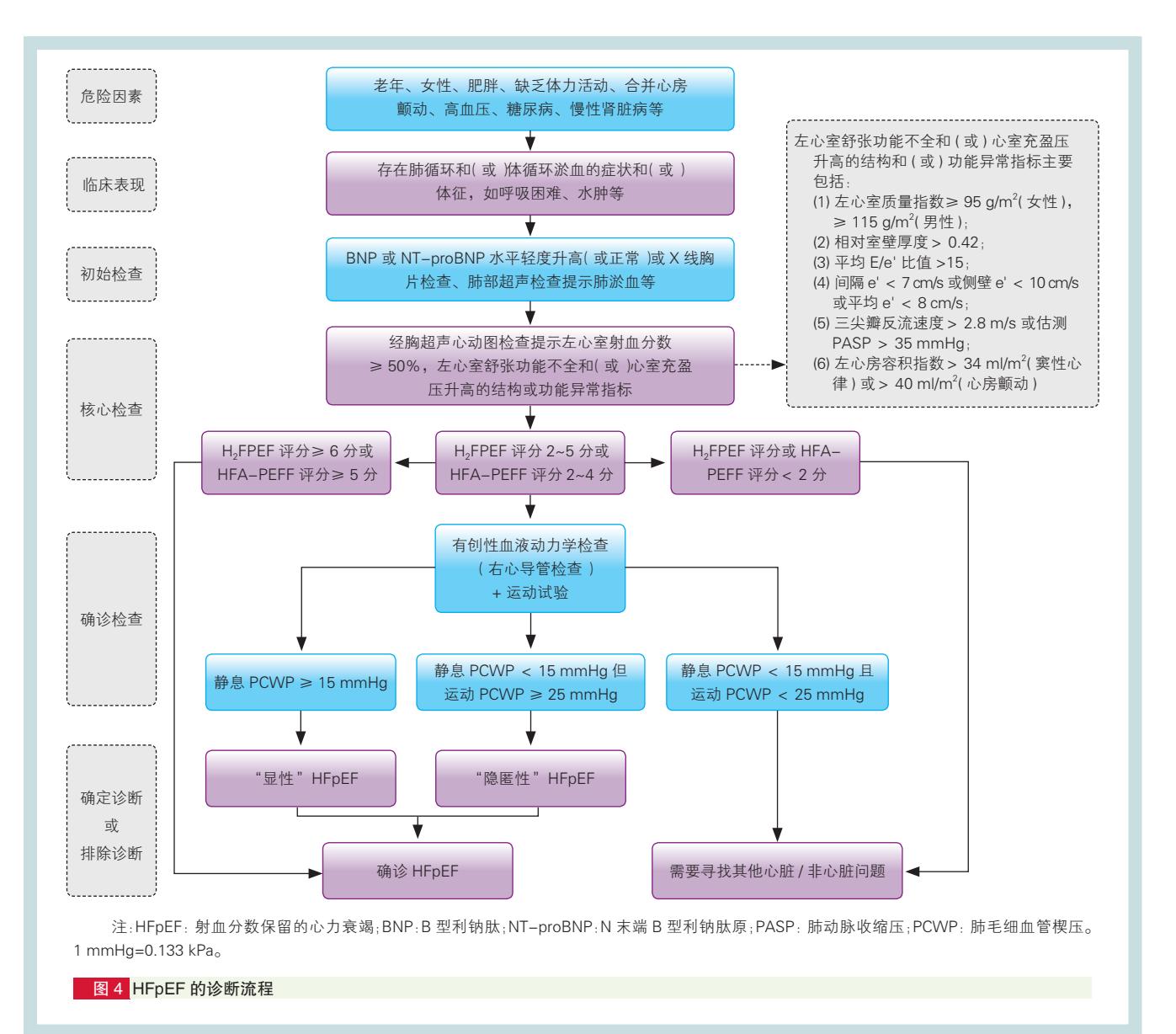 【HFpEF诊断路径图】HFpEF Clinical Diagnostic Pathway