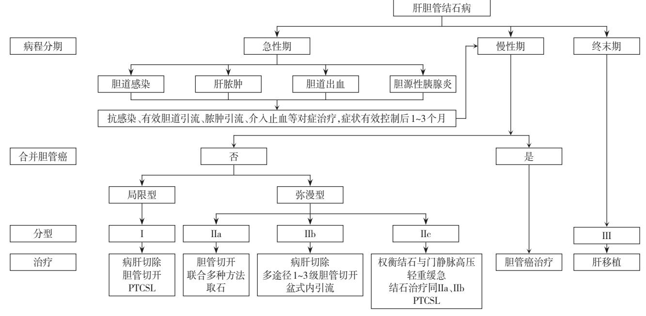 【肝胆管结石病综合诊疗湖南专家共识(2024版)】肝胆管结石病诊疗流程图