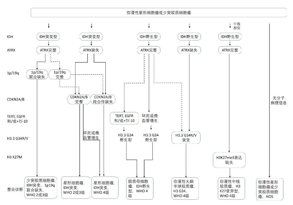 【胶质瘤分子病理诊断流程图】