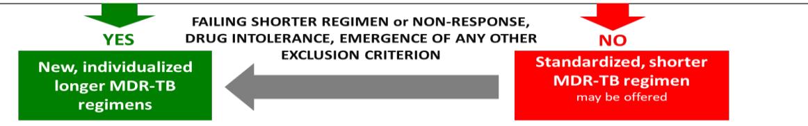 image_category: FLOWCHART/MDR-TB treatment algorithm | body_region: chest | specialty: Infectious Diseases | summary: This flowchart outlines the clinical decision-making process for choosing between standardized shorter MDR-TB regimens and individualized longer regimens based on treatment response and tolerance.