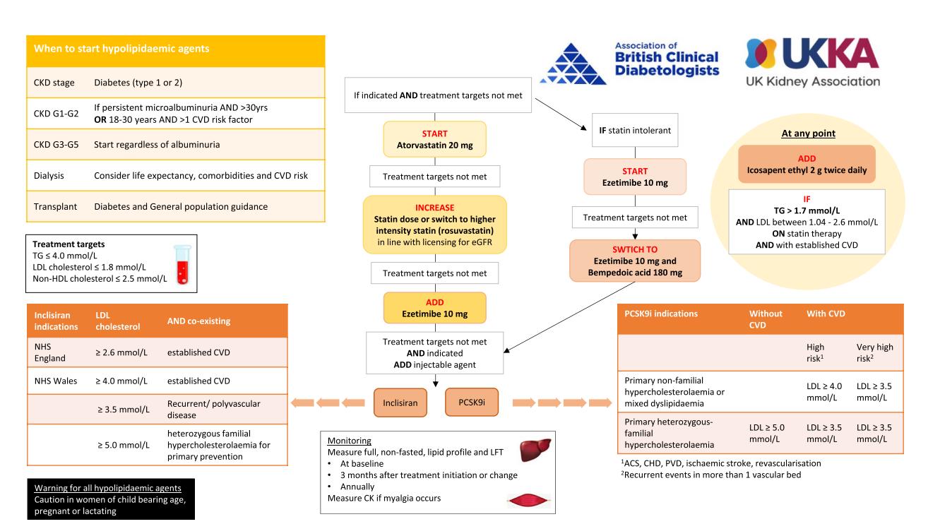 【ABCD/UKKA指南】糖尿病合并CKD患者降脂治疗临床路径