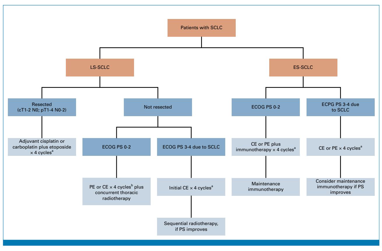 【中华医学会肺癌临床诊疗指南】SCLC治疗路径流程图