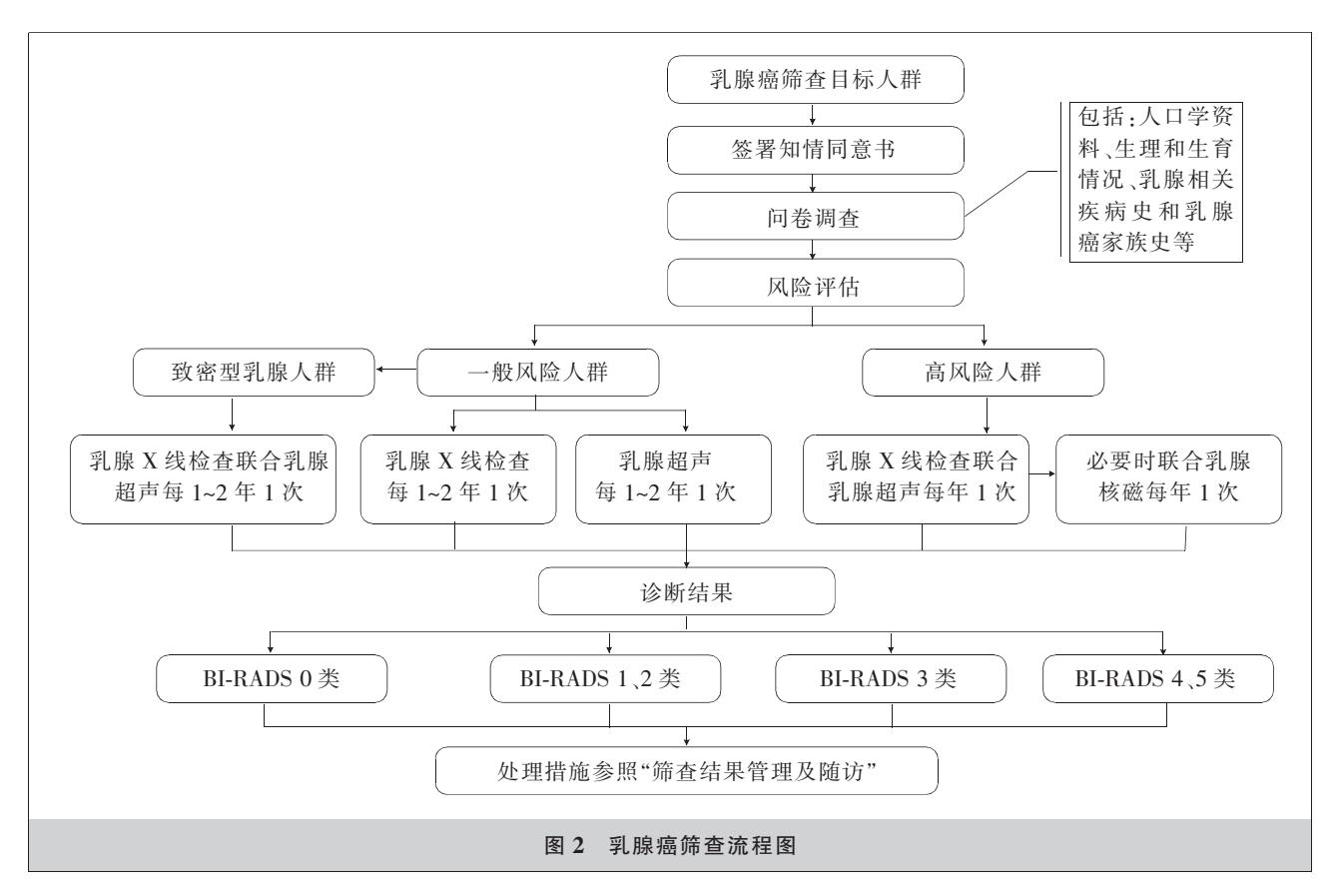 乳腺癌筛查临床路径图