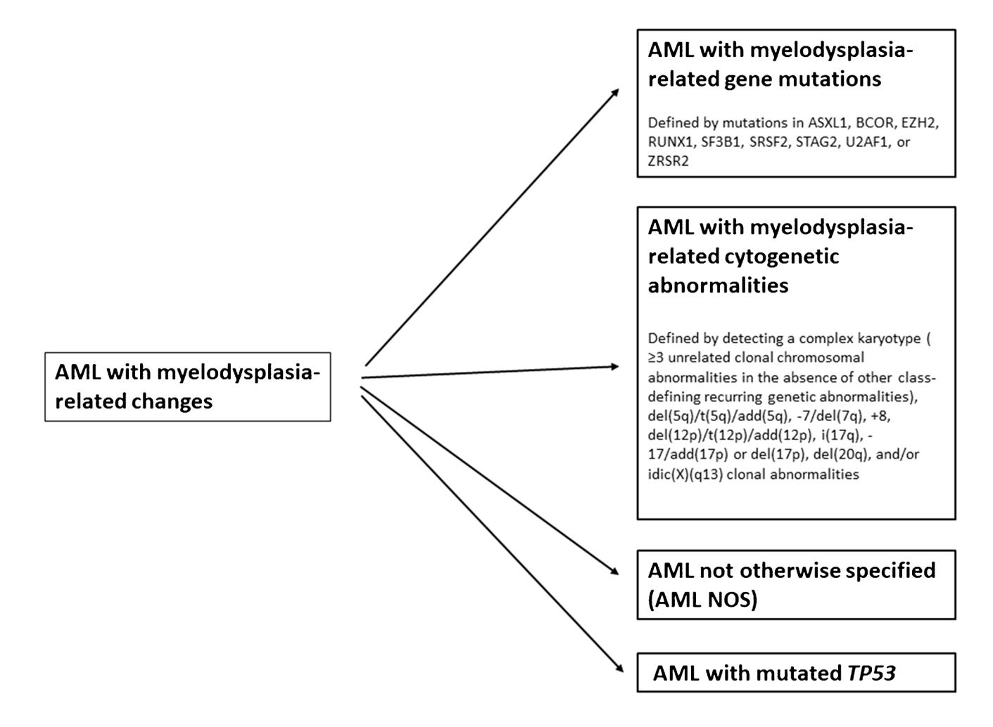【The International Consensus Classification of acute myeloid leukemia】Disease classification diagram