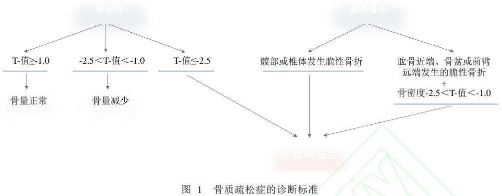 骨质疏松症诊断流程图