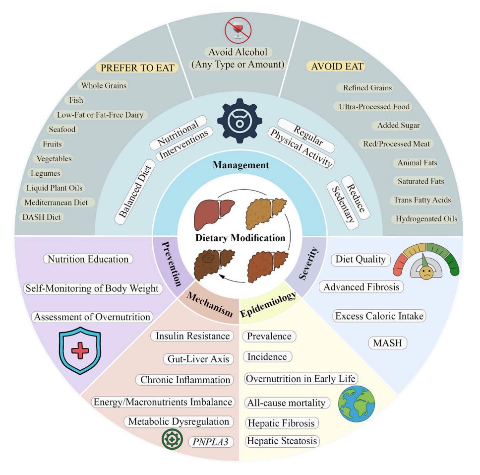 image_category: CHART_GRAPH/Clinical Management Infographic | body_region: abdomen | specialty: Gastroenterology | summary: A comprehensive infographic outlining the management, prevention, and pathophysiology of Metabolic Dysfunction-Associated Steatohepatitis (MASH) with a focus on dietary modification. | detail: This circular infographic provides a holistic overview of Metabolic Dysfunction-Associated Steatohepatitis (MASH) management. At the center, 'Dietary Modification' is highlighted as the primary intervention, illustrated by a cycle of four liver icons showing the progression and potential regression of steatosis and fibrosis. The diagram is divided into five functional segments: Management, Severity, Epidemiology, Mechanism, and Prevention. The 'Management' section advocates for nutritional interventions, balanced diets (Mediterranean and DASH), regular physical activity, and reduced sedentary time. Specific dietary recommendations are categorized into 'PREFER TO EAT' (e.g., whole grains, fish, legumes, liquid plant oils) and 'AVOID EAT' (e.g., refined grains, ultra-processed foods, added sugars, and trans fats), with a strict 'Avoid Alcohol' directive at the top. The 'Mechanism' segment identifies insulin resistance, the gut-liver axis, chronic inflammation, and the PNPLA3 gene as key drivers. 'Epidemiology' tracks prevalence, incidence, and all-cause mortality, while 'Severity' links diet quality to advanced fibrosis. 'Prevention' focuses on education and weight monitoring. This visual tool emphasizes that lifestyle and dietary changes are foundational to managing MASH and preventing its progression to advanced liver disease. | entities: diseases=MASH, Advanced Fibrosis, Hepatic Fibrosis, Hepatic Steatosis, Chronic Inflammation, Insulin Resistance, Metabolic Dysregulation, Overnutrition; anatomical_structures=Liver, Gut-Liver Axis; interventions=Dietary Modification, Nutritional Interventions, Balanced Diet, Mediterranean Diet, DASH Diet, Physical Activity, Nutrition Education, Self-Monitoring of Body Weight, Assessment of Overnutrition; biomarkers=PNPLA3; findings=Prefer to eat: Whole Grains, Fish, Low-Fat/Fat-Free Dairy, Seafood, Fruits, Vegetables, Legumes, Liquid Plant Oils, Avoid eat: Refined Grains, Ultra-Processed Food, Added Sugar, Red/Processed Meat, Animal Fats, Saturated Fats, Trans Fatty Acids, Hydrogenated Oils, Avoid Alcohol: Any type or amount, Mechanism factors: Insulin Resistance, Gut-Liver Axis, Chronic Inflammation, Energy/Macronutrients Imbalance, Metabolic Dysregulation, PNPLA3, Epidemiology factors: Prevalence, Incidence, Overnutrition in Early Life, All-cause mortality, Hepatic Fibrosis, Hepatic Steatosis, Severity indicators: Diet Quality, Advanced Fibrosis, Excess Caloric Intake, MASH