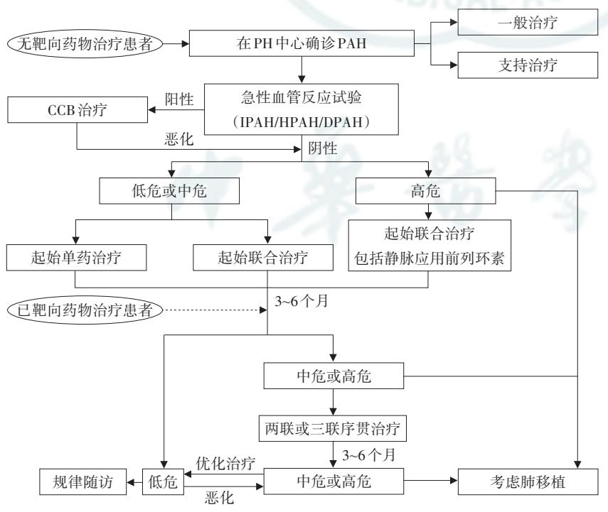 【中国肺动脉高压诊断与治疗指南(2021版)】PAH治疗流程图