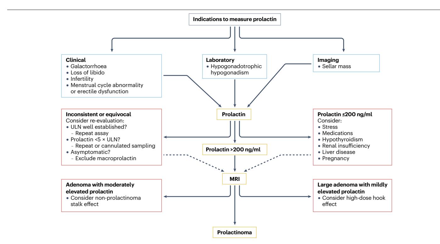【Pituitary Society International Consensus Statement: Diagnosis and Treatment of Prolactinomas】Indications to measure prolactin