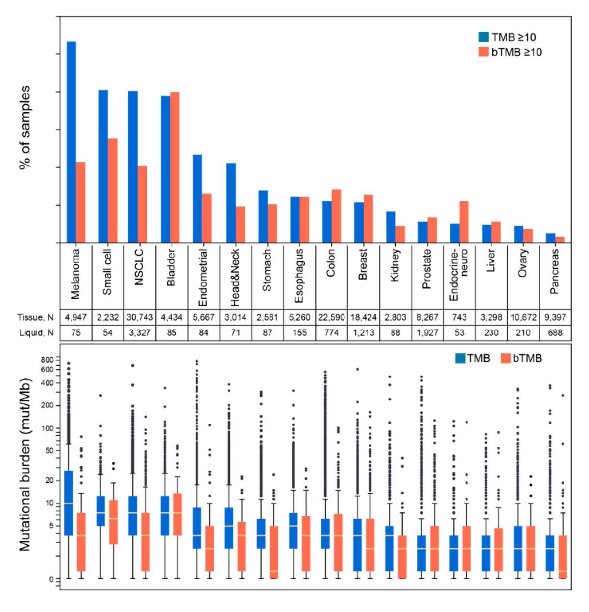 【 Japanese Society of Medical Oncology/Japan Society of Clinical Oncology/Japanese Society of Pediatric Hematology/Oncology-led clinical recommendations on the diagnosis and use of immunotherapy in patients with high tumor mutational burden tumors】Bar chart and Box plot