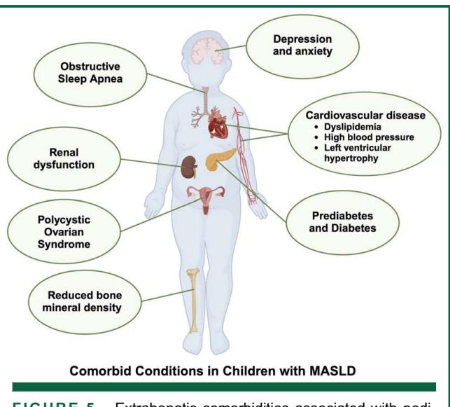 【AASLD Practice Statement on the evaluation and management of metabolic dysfunction-associated steatotic liver disease in children】Medical Illustration