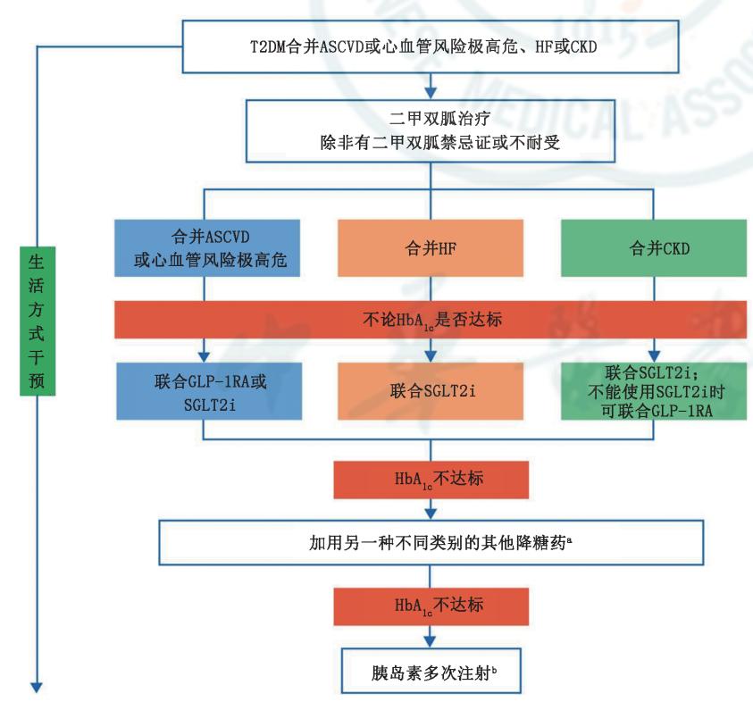 image_category: FLOWCHART/2型糖尿病合并并发症临床路径图 | body_region: NA | specialty: 内分泌科 | summary: 针对合并ASCVD、HF或CKD的T2DM患者,建议在二甲双胍基础上,不论HbA1c是否达标,优先联合具有心肾获益证据的GLP-1RA或SGLT2i治疗。