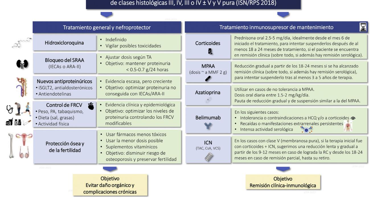 【Consensus document of the Spanish Group for the Study of the Glomerular Diseases (GLOSEN) for the diagnosis and treatment of lupus nephritis】Treatment Guideline