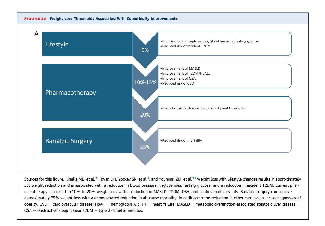 【2025 Concise Clinical Guidance: An ACC Expert Consensus Statement on Medical Weight Management for Optimization of Cardiovascular Health: A Report of the American College of Cardiology Solution Set Oversight Committee】Infographic