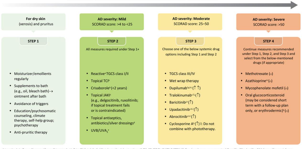 【AD阶梯治疗算法】基于SCORAD评分的AD治疗升级策略