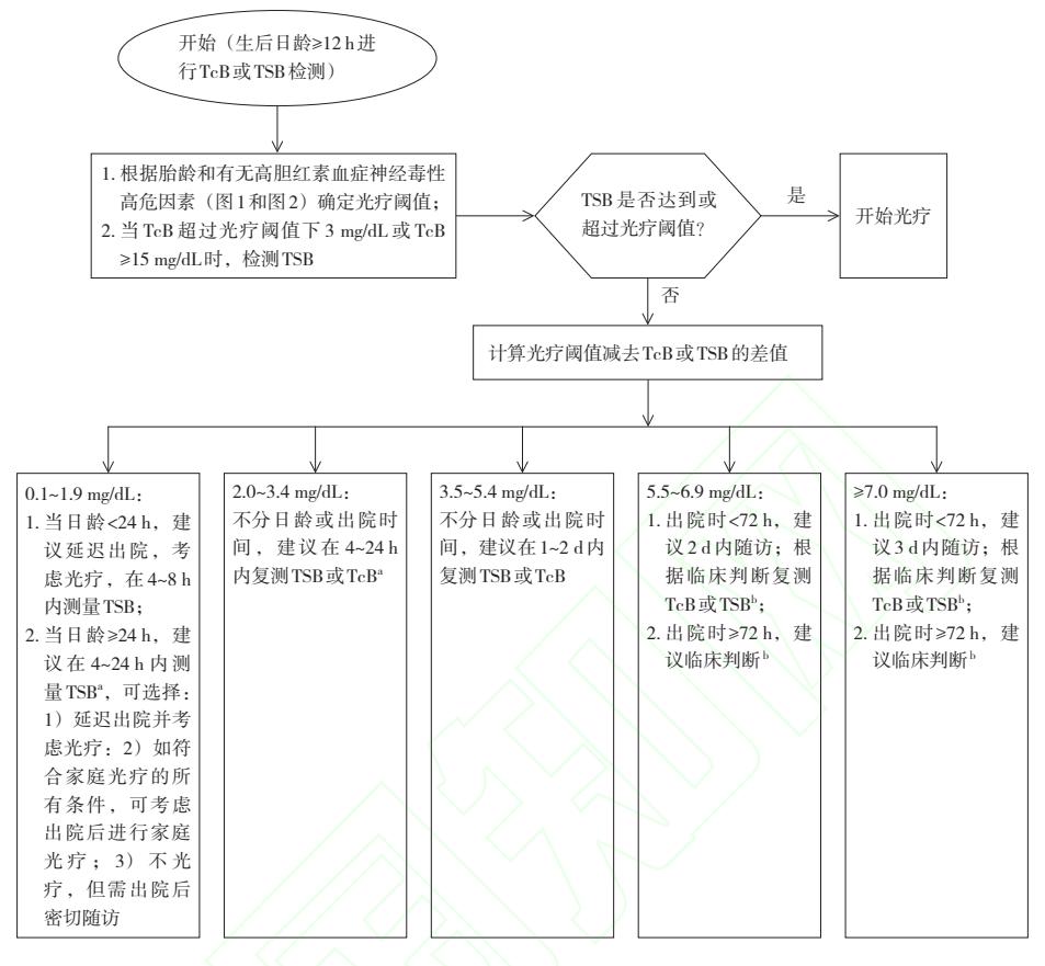 【2022版美国儿科学会新生儿高胆红素血症管理指南解读】新生儿高胆红素血症诊疗流程图