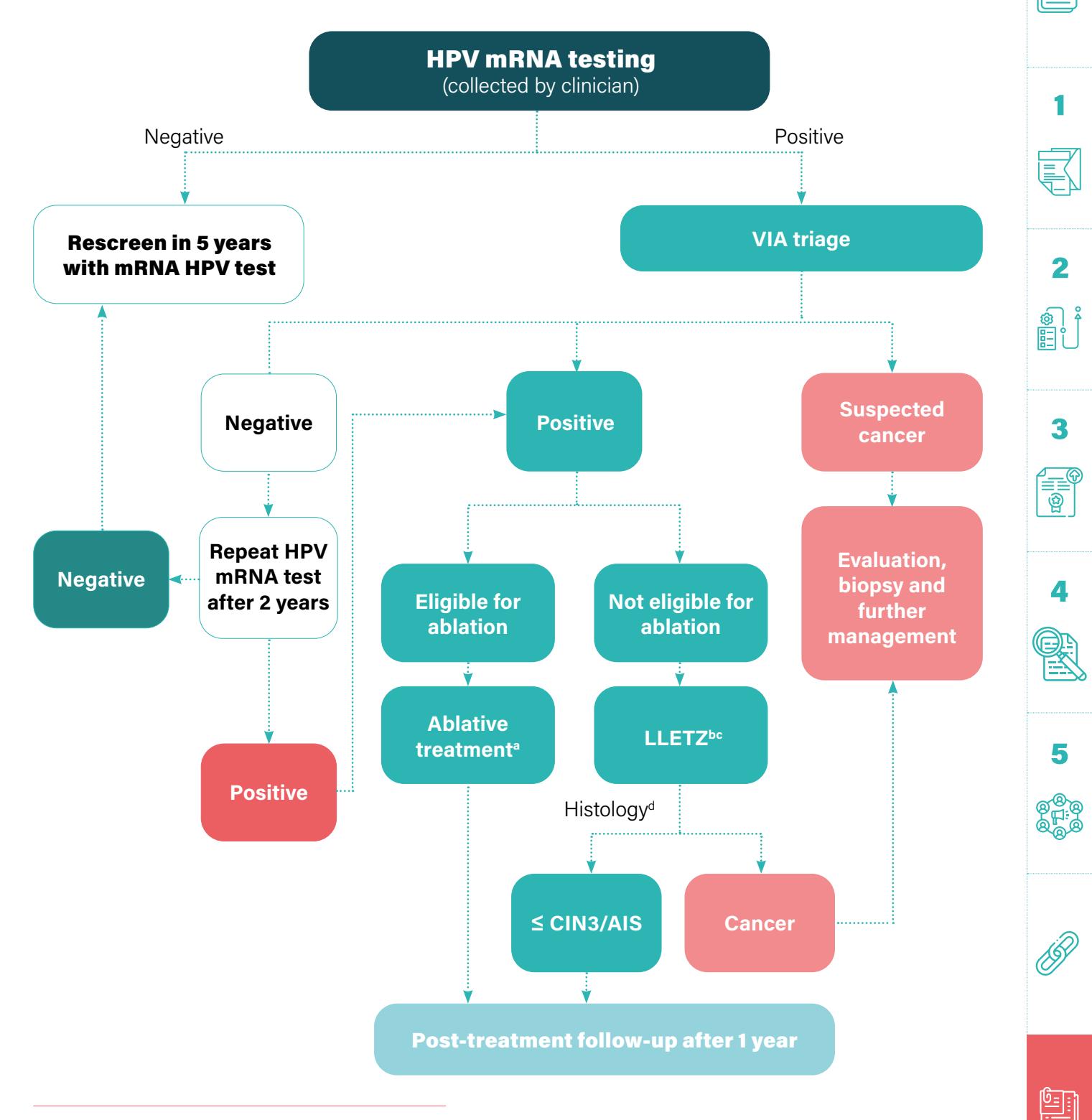【WHO指南】宫颈癌筛查算法:HPV mRNA初筛与VIA分流