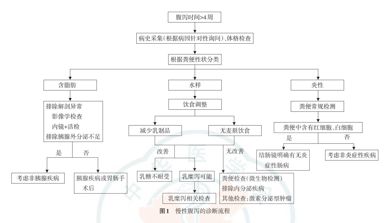 【慢性腹泻基层诊疗指南(实践版·2019)】临床诊断流程图