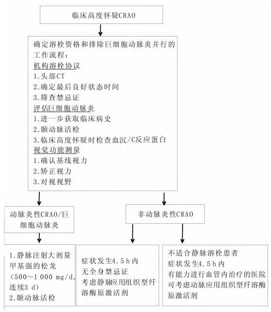 【视网膜中央动脉闭塞管理声明要点解读】视网膜中央动脉阻塞(CRAO)诊疗流程图
