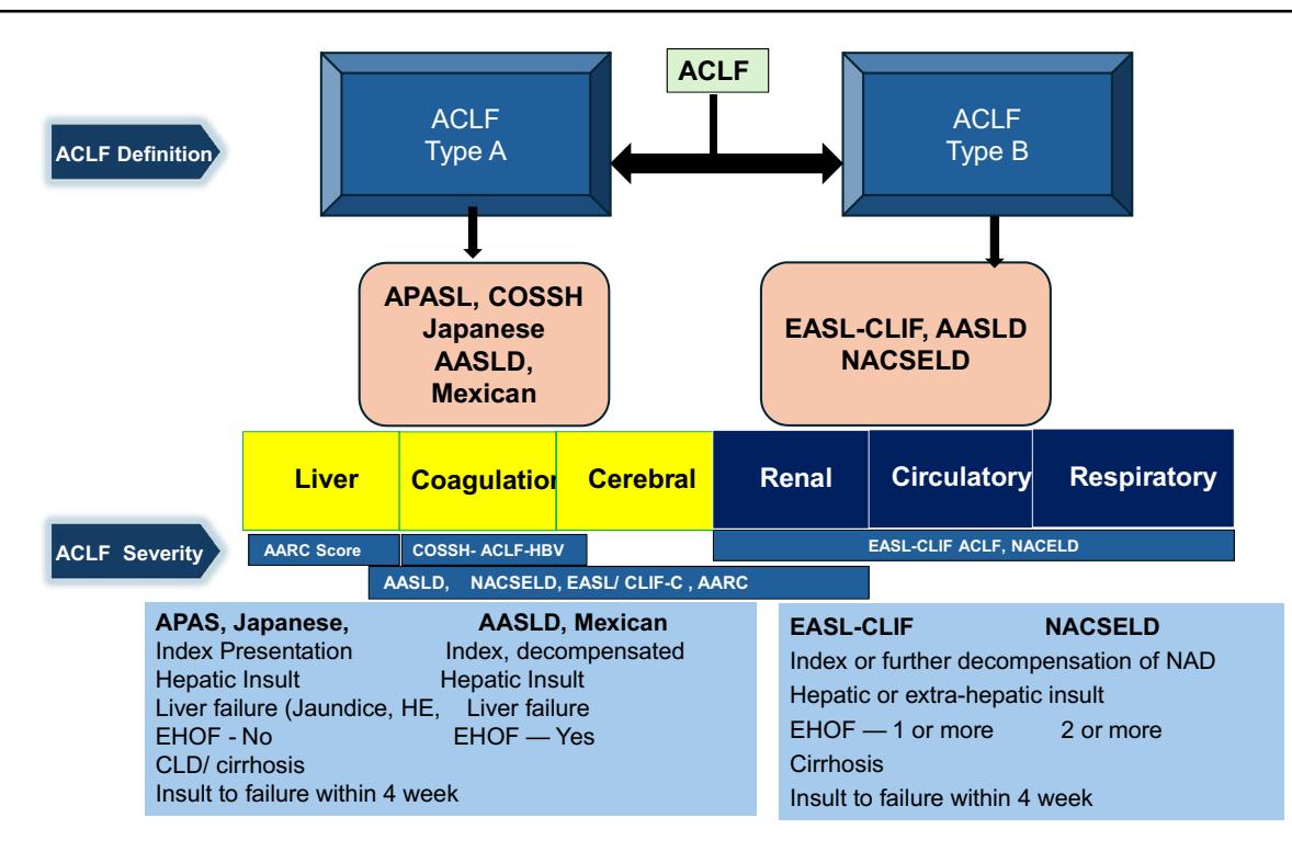 【Intensive Care Manual】ACLF分类与严重程度标准流程图