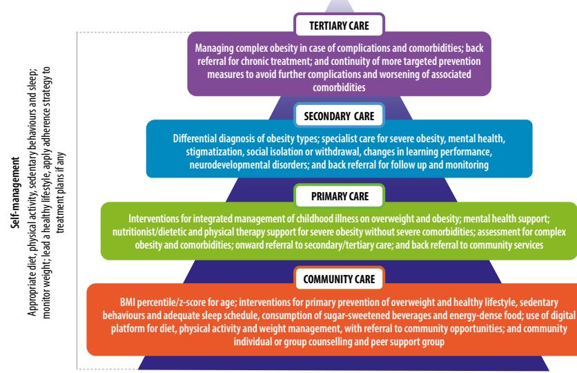 【A primary health care approach to obesity prevention and management in children and adolescents: policy brief】Healthcare delivery model for obesity management