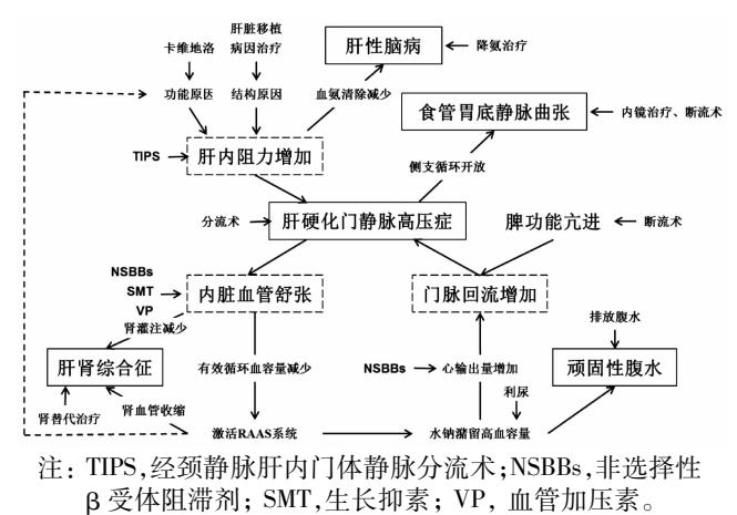 【肝硬化门静脉高压症多学科诊治(基于肝静脉压力梯度)专家共识】肝硬化门静脉高压症病理生理及治疗流程图