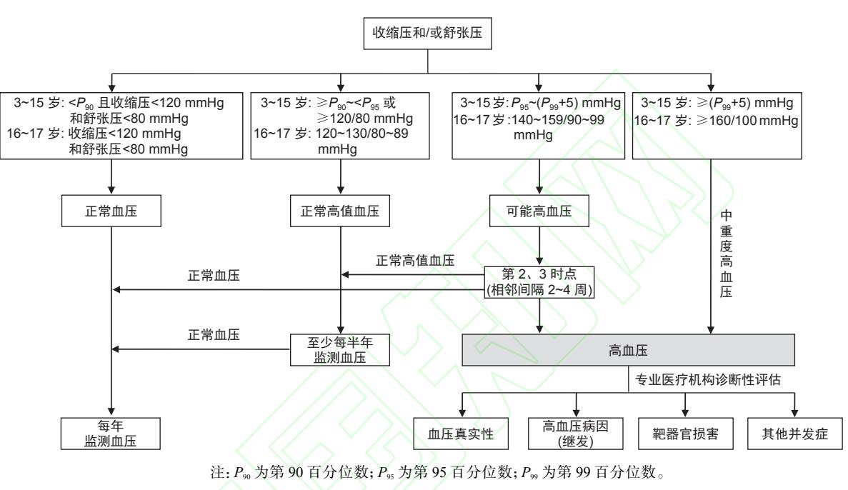 【儿童与青少年高血压的筛查诊疗——《中国高血压防治指南(2024年修订版)》解读】儿童高血压诊断评估流程