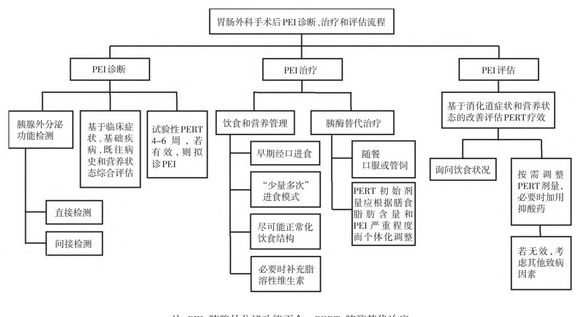 【胃肠外科手术后胰腺外分泌功能不全诊断与管理中国专家共识(2024版)】临床诊疗路径图