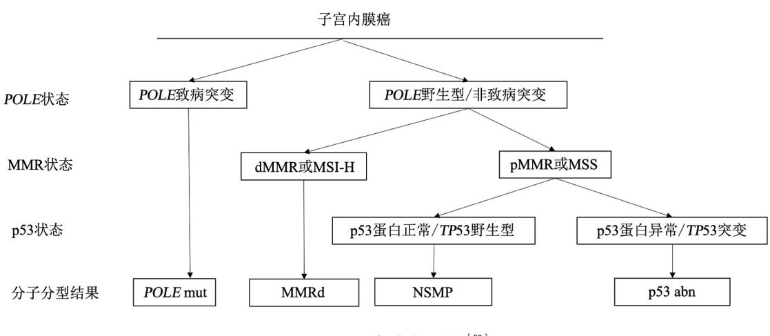 子宫内膜癌分子分型诊断流程图
