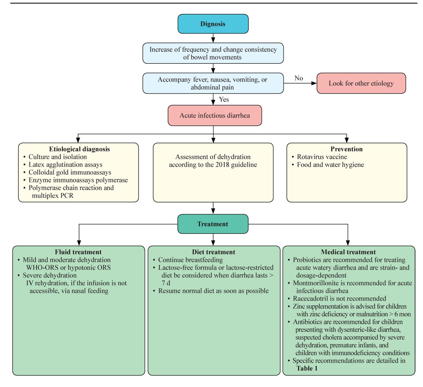 【Clinical practice guidelines for acute infectious diarrhea in children in China (2024)】Clinical management flowchart