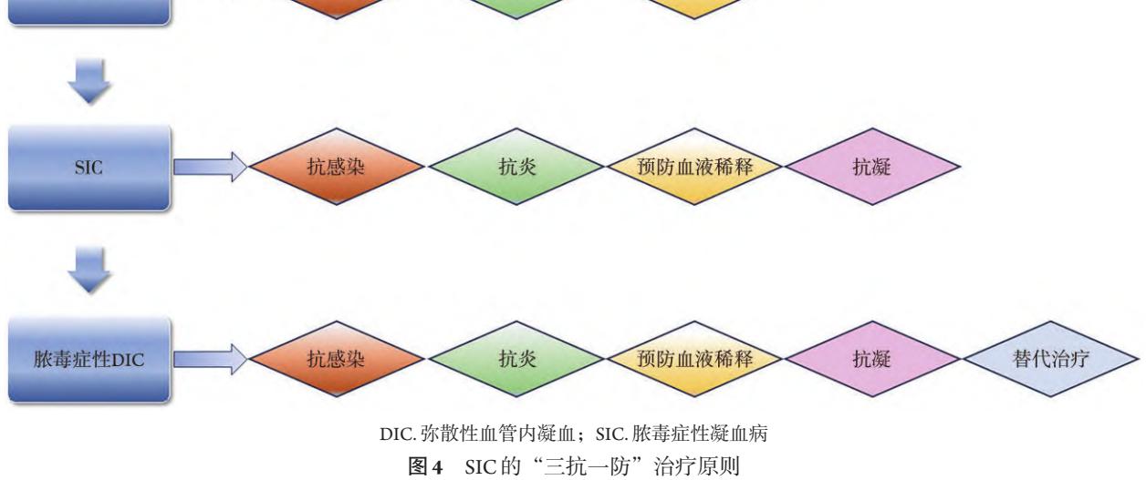 【脓毒症性凝血病诊疗中国专家共识(2024版)】治疗原则流程图