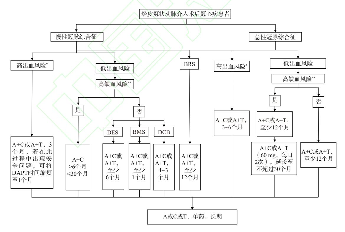 【Human Anatomy Atlas】Spinal Anatomical Structure Diagram