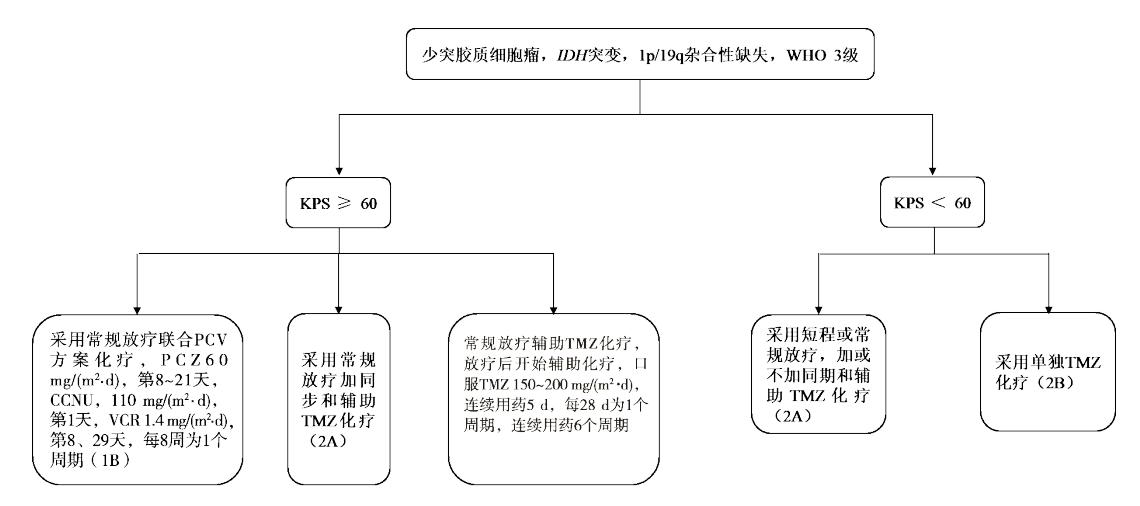 WHO 3级少突胶质细胞瘤治疗决策流程