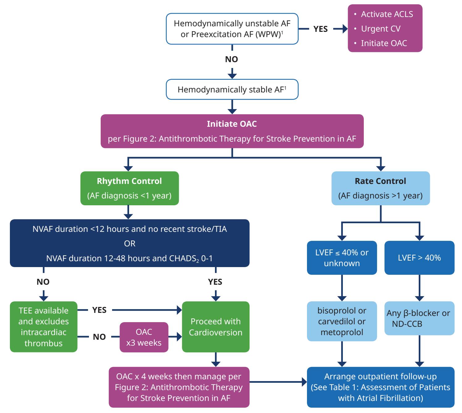 【2023 ACC/AHA/ACCP/HRS Guideline for the Diagnosis and Management of Atrial Fibrillation】Clinical Management Algorithm for Atrial Fibrillation