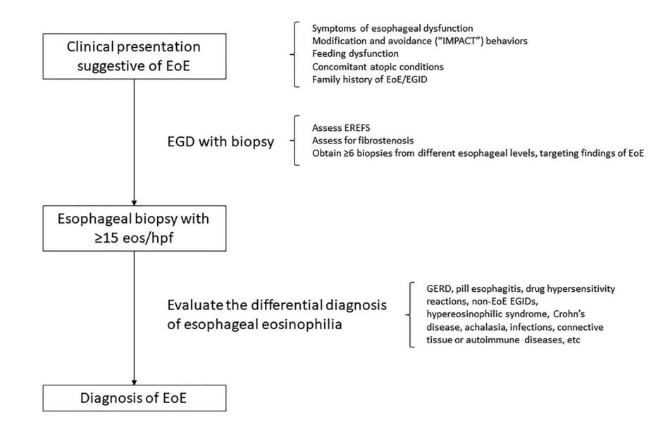 【ACG Clinical Guideline: Diagnosis and Management of Eosinophilic Esophagitis】Diagnostic algorithm for Eosinophilic Esophagitis
