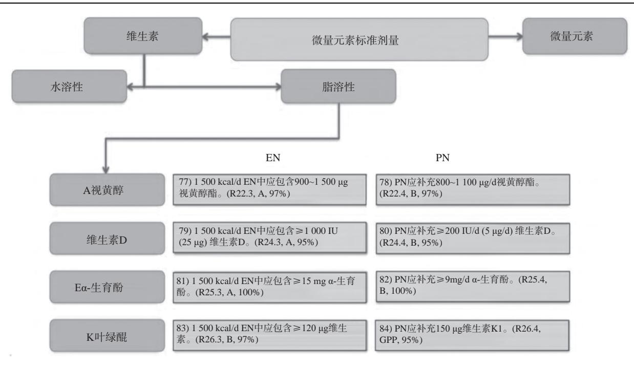 【2024年《ESPEN微量营养素精简实践指南》解读】临床营养诊疗路径