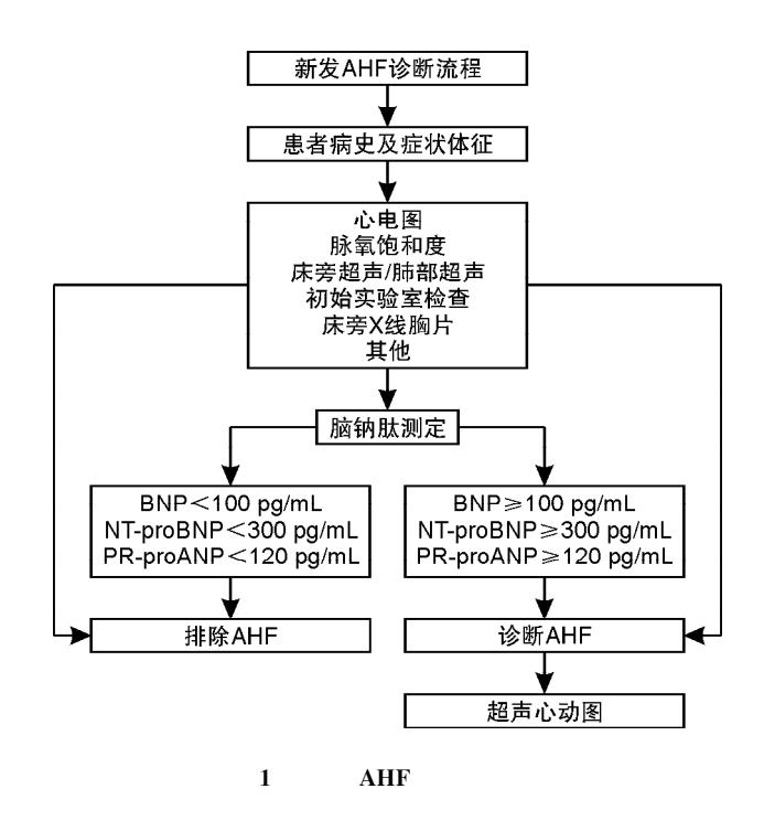 新发AHF诊断流程