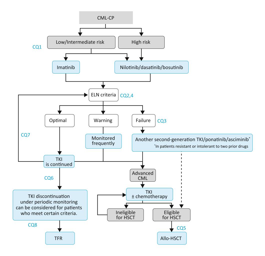 【JSH实践指南】CML-CP临床治疗路径图
