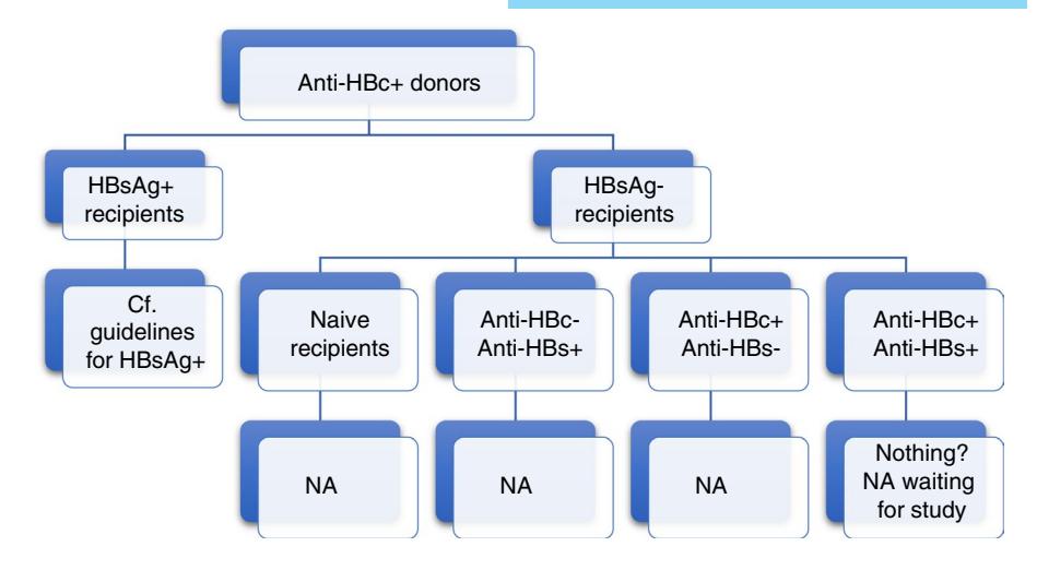 【临床管理算法】抗-HBc阳性供体器官受者管理流程图