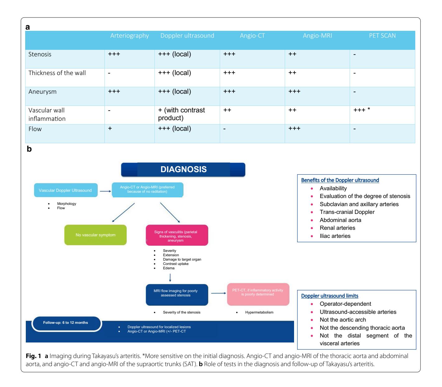 【French recommendations for the management of Takayasu's arteritis】Diagnostic Algorithm and Imaging Comparison