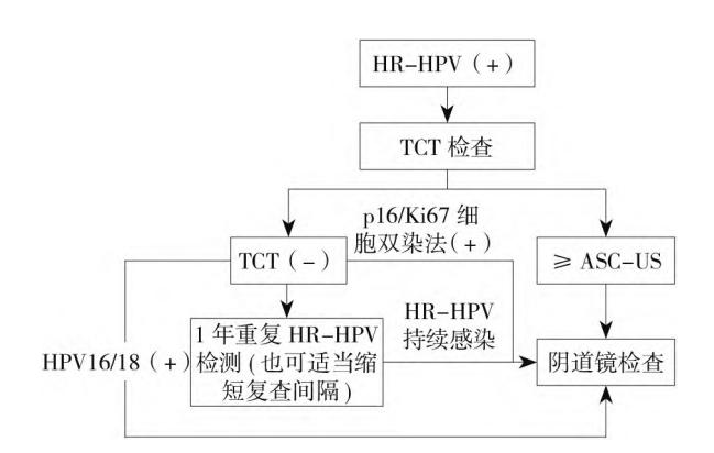 【FLOWCHART/宫颈癌筛查临床路径图】HR-HPV阳性患者临床管理路径