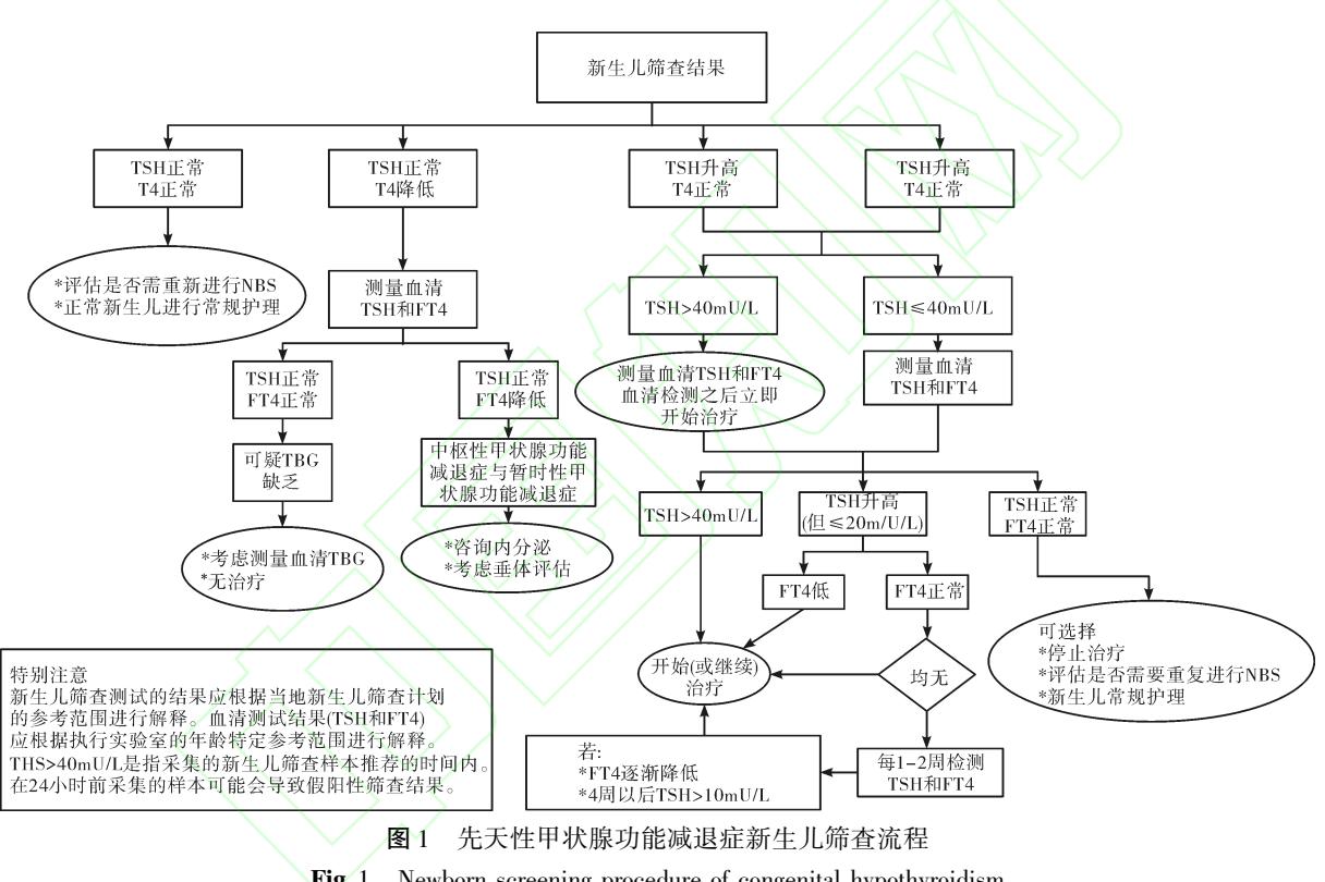 【2023年美国儿科学会先天性甲状腺功能减低症筛查与管理指南解读】先天性甲状腺功能减退症筛查临床路径图