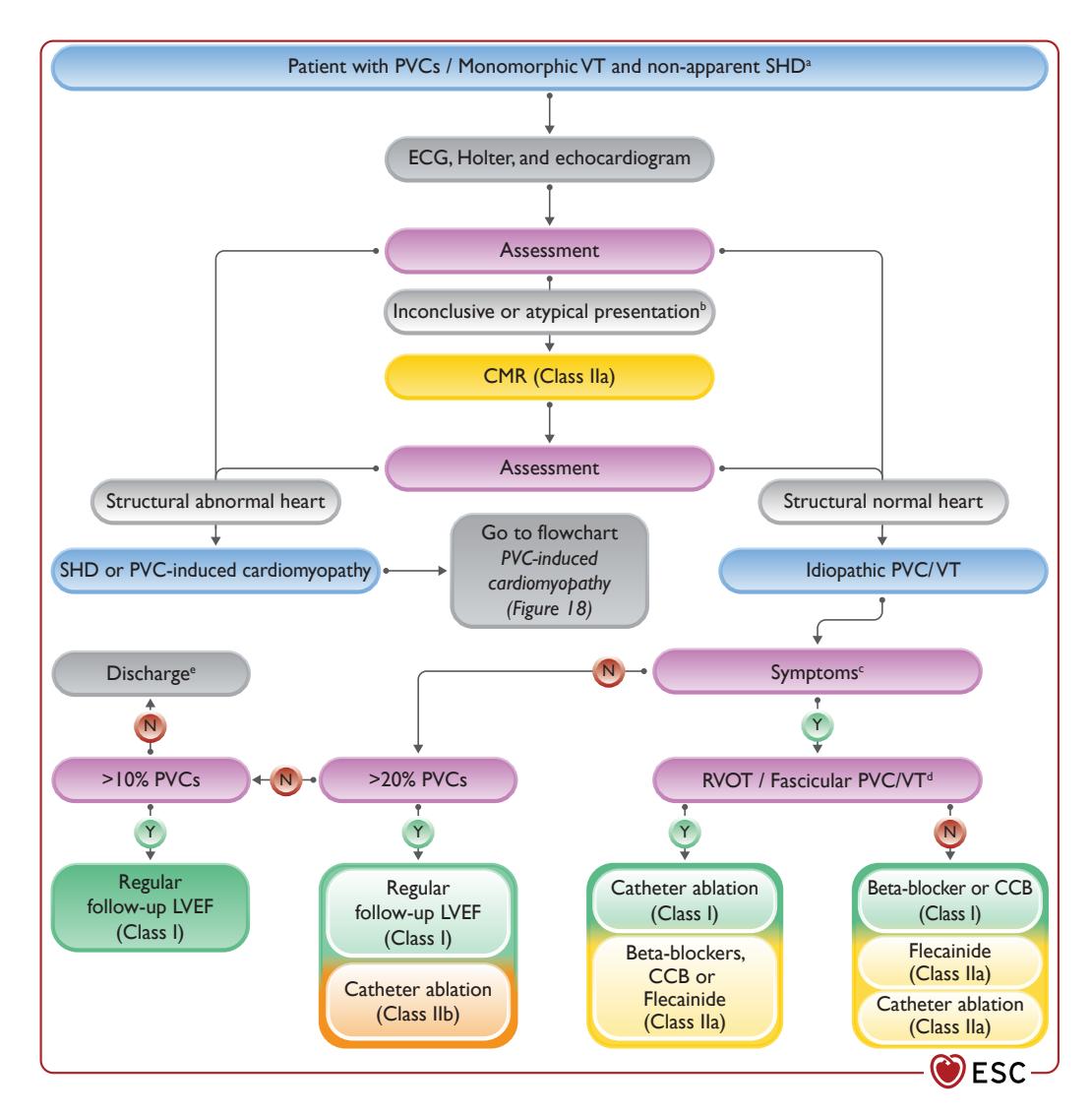 【ESC 2022 Guidelines】Clinical flowchart for the management of patients with PVCs or monomorphic VT and no apparent structural heart disease