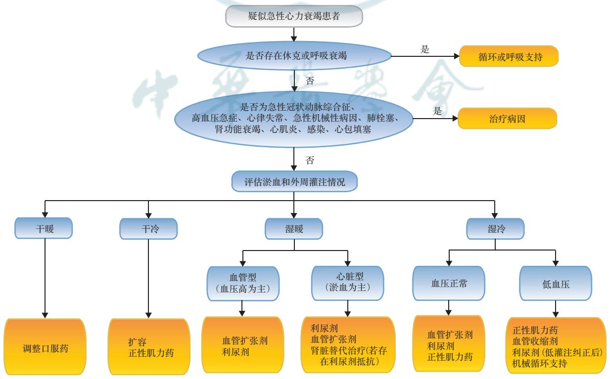 【中国心力衰竭基层诊疗与管理指南(2024年)】急性心力衰竭的治疗流程