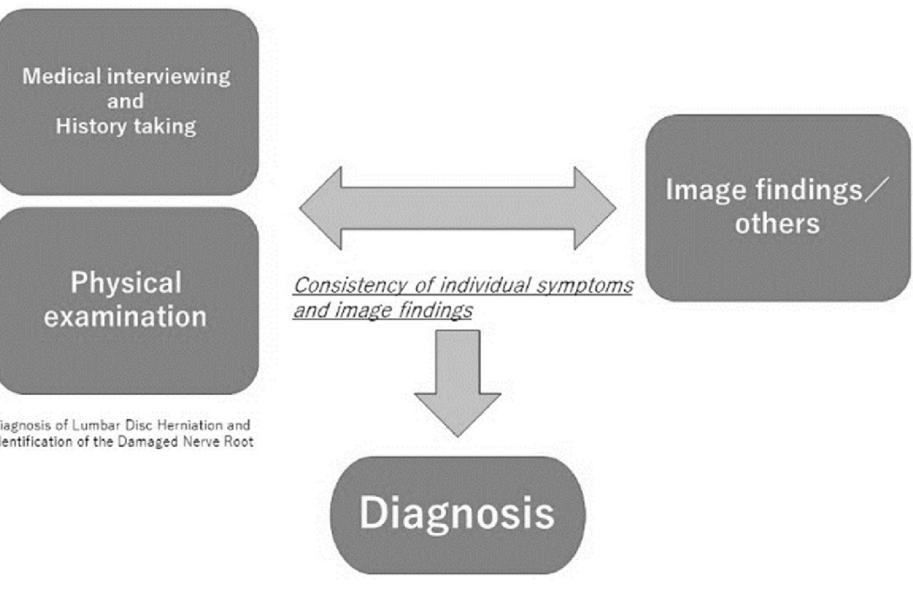 【ASIPP Guideline / Diagnostic algorithm】Lumbar Disc Herniation Diagnostic Algorithm
