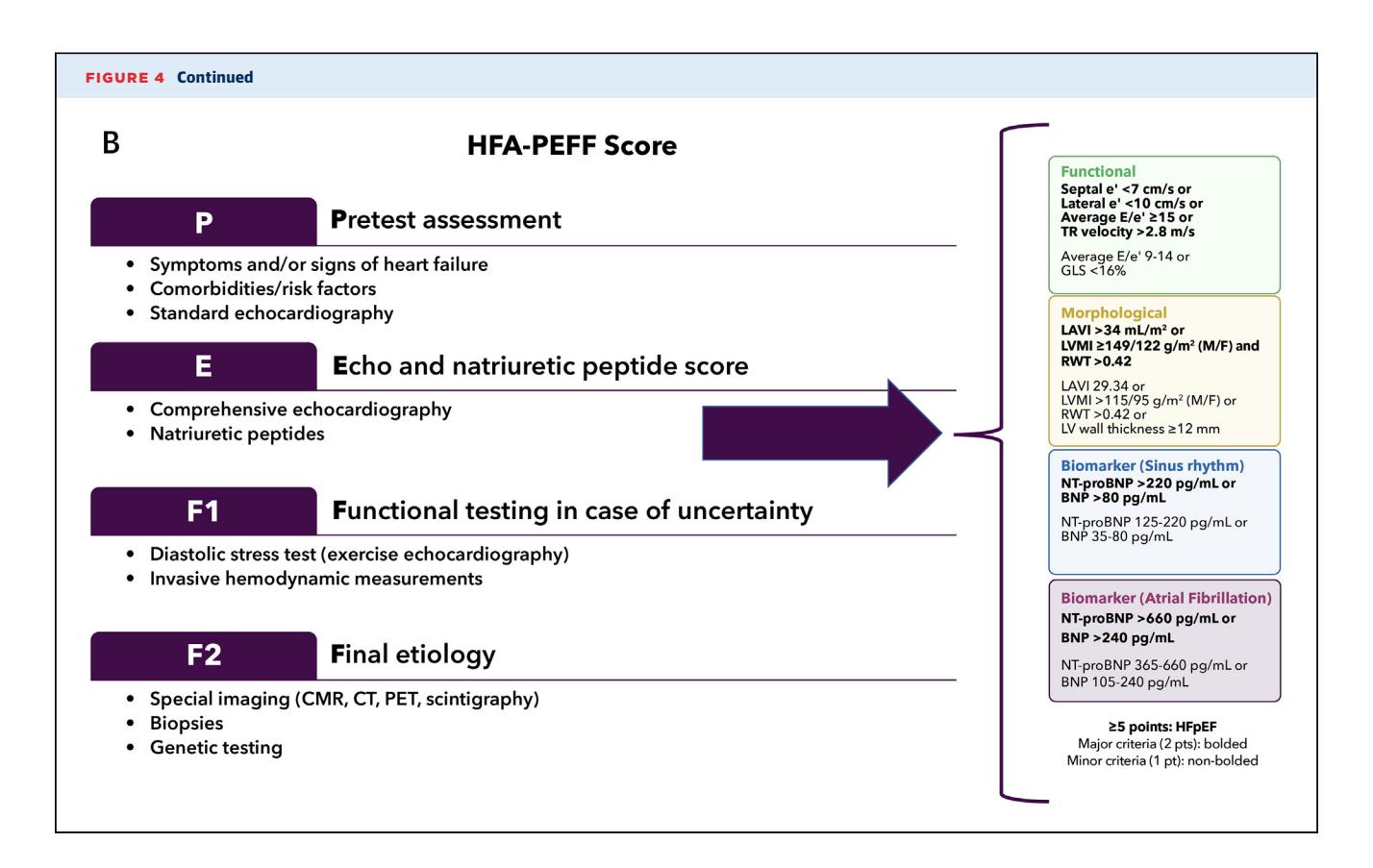 【2023 ACC Expert Consensus Decision Pathway on Management of Heart Failure With Preserved Ejection Fraction】Diagnostic Algorithm
