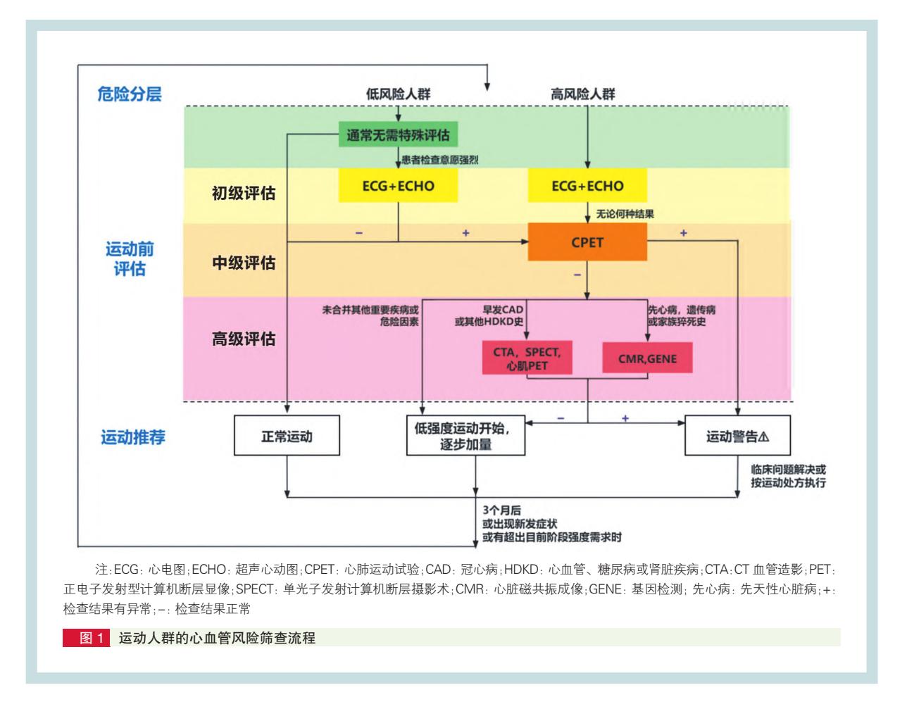 image_category: FLOWCHART/临床诊疗路径图 | body_region: 全身 | specialty: 心血管内科/运动医学科 | summary: 该流程图详细阐述了运动人群根据心血管风险分层进行的多级临床评估路径及相应的运动推荐建议。
